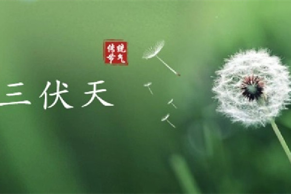 伏天有公伏和母伏之分嗎 伏天有什么說(shuō)法