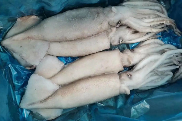 新鮮魷魚會(huì)泡藥水嗎 新鮮魷魚買回來(lái)要怎么清洗