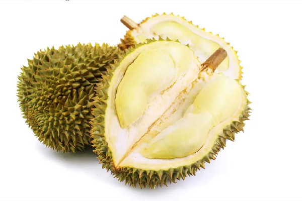 金枕榴蓮怎么挑選 金枕榴蓮買(mǎi)大的好還是小的好呢