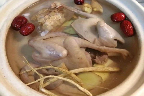 鴿子湯對(duì)傷口愈合有好處嗎 鴿子湯適合手術(shù)后的人喝嗎