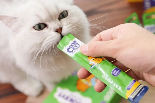 貓條哪個(gè)牌子質(zhì)量好性價(jià)比高 貓條買什么牌子好