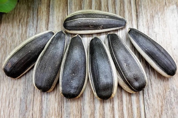 葵瓜子吃多了上火嗎 葵瓜子會(huì)導(dǎo)致過敏嗎