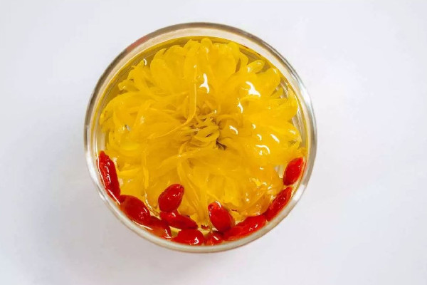 菊花茶對(duì)牙齦腫痛有好處嗎 菊花茶喝多久能見效